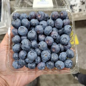 Arándanos orgánicos frescos en envase de exportación de El Rodeo Farm