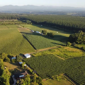 Vista aérea del Fundo El Rodeo en la Región de Ñuble