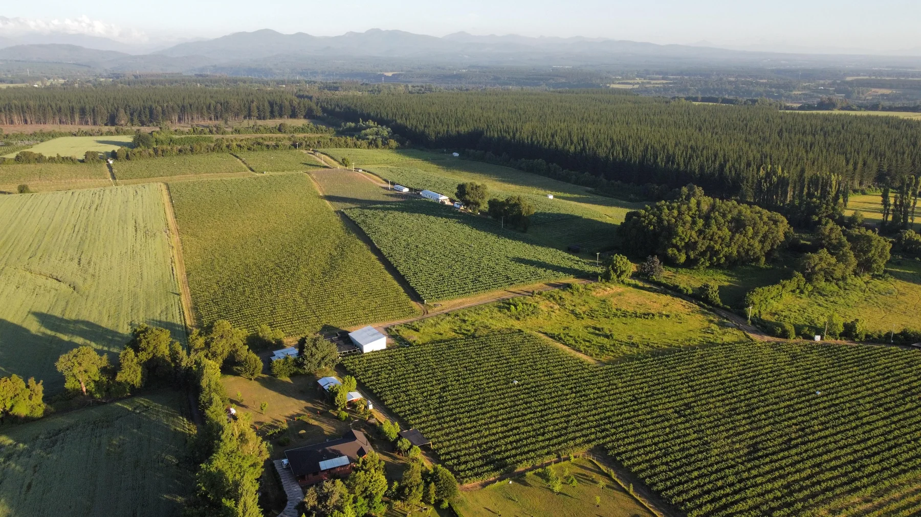 Vista aérea del Fundo El Rodeo en la Región de Ñuble